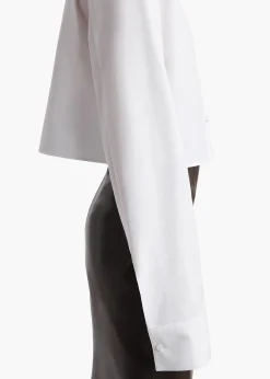 Jasen Top in Chalk